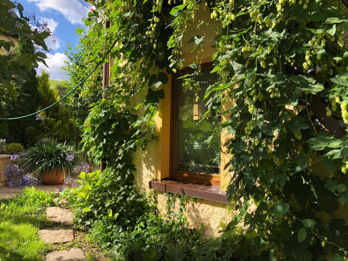 Ferienhaus Erzgebirge "An Der Trebe" Mit Kamin Und Sauna Neuhausen  Eksteriør bilde