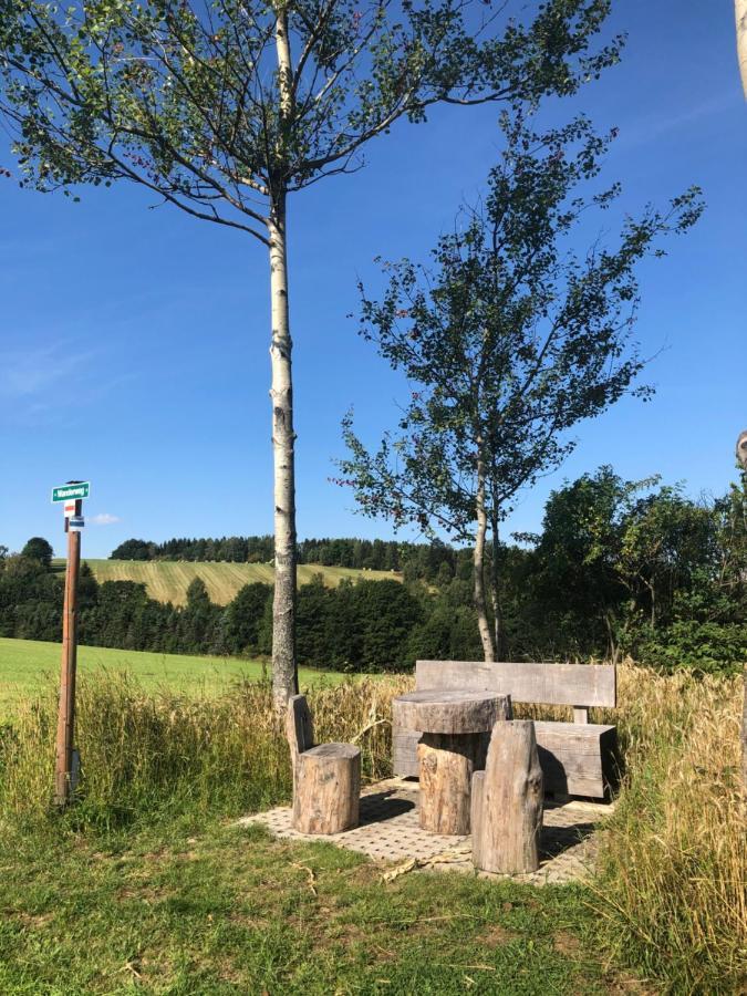 Ferienhaus Erzgebirge "An Der Trebe" Mit Kamin Und Sauna Neuhausen  Eksteriør bilde