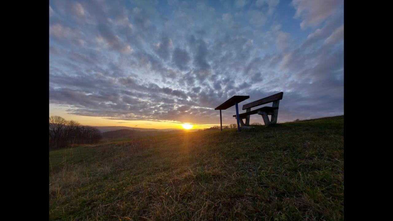 Ferienhaus Erzgebirge "An Der Trebe" Mit Kamin Und Sauna Neuhausen  Eksteriør bilde