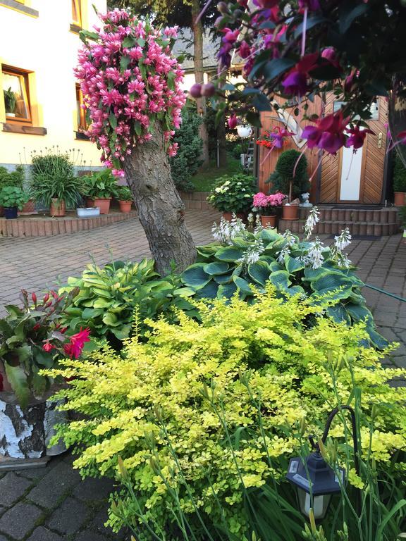 Ferienhaus Erzgebirge "An Der Trebe" Mit Kamin Und Sauna Neuhausen  Eksteriør bilde