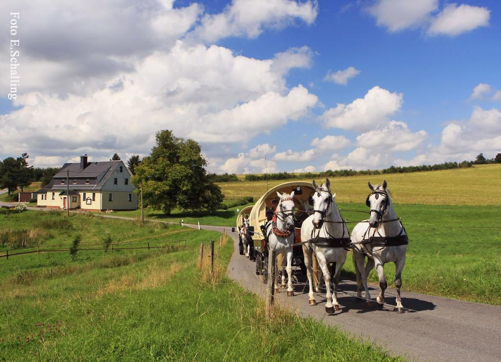 Ferienhaus Erzgebirge "An Der Trebe" Mit Kamin Und Sauna Neuhausen  Eksteriør bilde