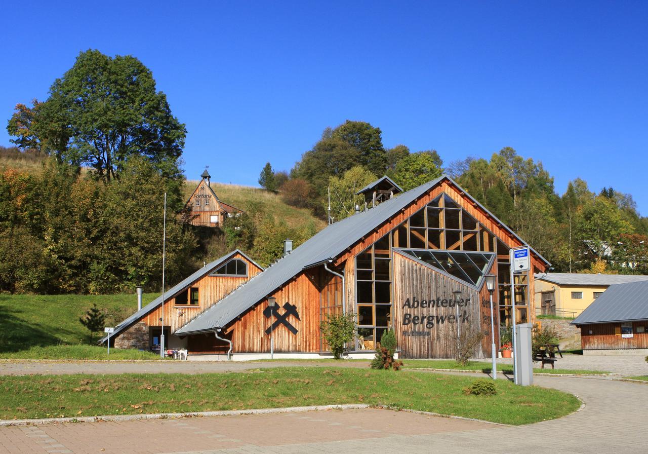 Ferienhaus Erzgebirge "An Der Trebe" Mit Kamin Und Sauna Neuhausen  Eksteriør bilde